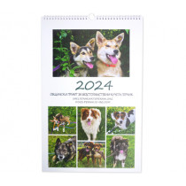 Благотворителен календар за приют за безстопанствени кучета Перник, 47 х 30 см