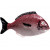 Плато Fish, Bordallo Pinheiro, дизаѝнерска керамика, 27 х 14 см